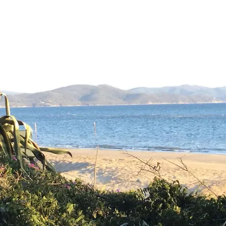 Toscana 100 M Dal Mare Pratoranieri Big * Follonica
